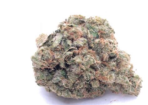 bubba lato strain